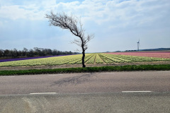 Umfeld
