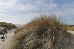Impressionen